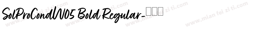 SolProCondW05 Bold Regular字体转换
